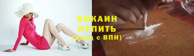 индика Пересвет