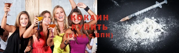 индика Пересвет